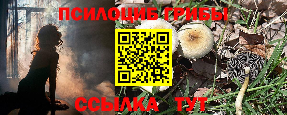 Галлюциногенные грибы ЛСД  Вход с VPN  Уварово  Псилоцибиновые грибы MAGIC MUSHROOMS 